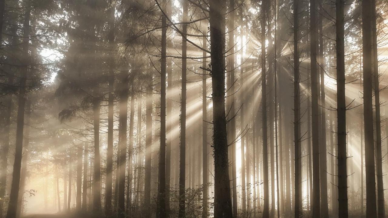 Bnb Bergsicht Dettighofen Buitenkant foto
